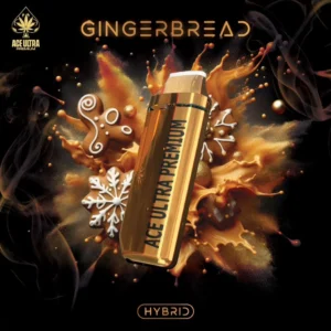 gingerbread – ace ultra premium 2g disposable vape (limited love edition)