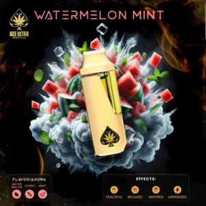Watermelon Mint – Ace Ultra Premium Disposable Vape 2g